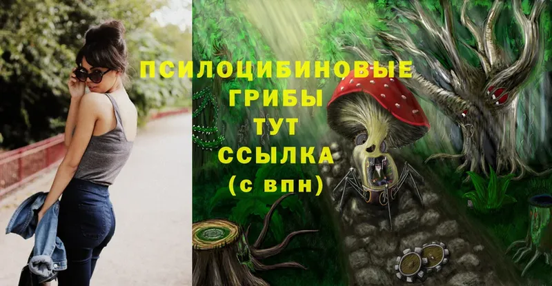 где продают наркотики  hydra зеркало  Псилоцибиновые грибы Magic Shrooms  Бийск 